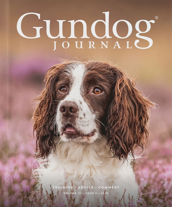 A guide to online gundog training Training Gundog Journal