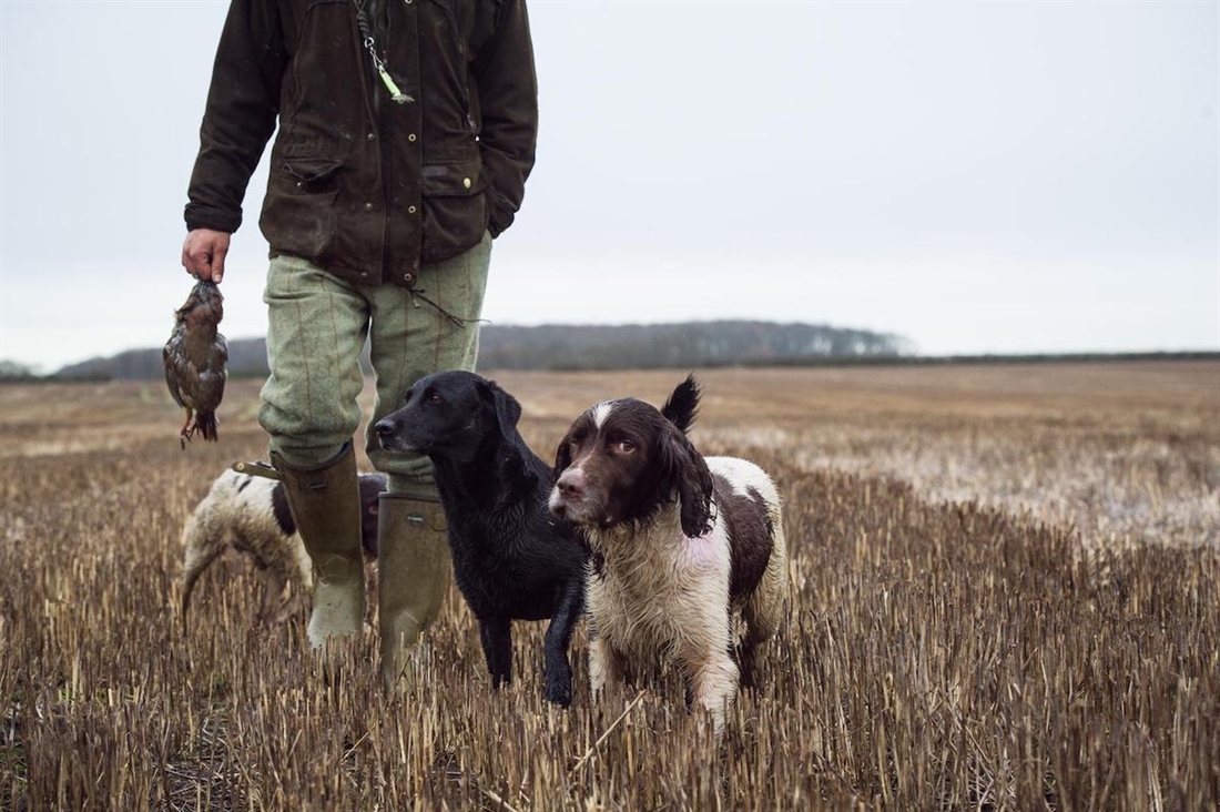 His Majesty the King will be The Kennel Club&#8217;s new Patron