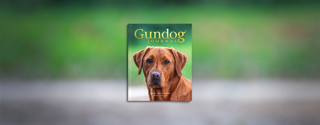 Why subscribe to Gundog Journal?