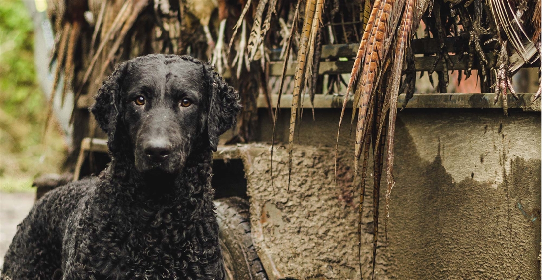 Mud, glorious mud