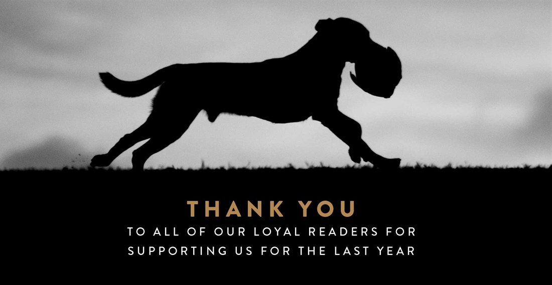 Gundog Journal will now be published bi-monthly