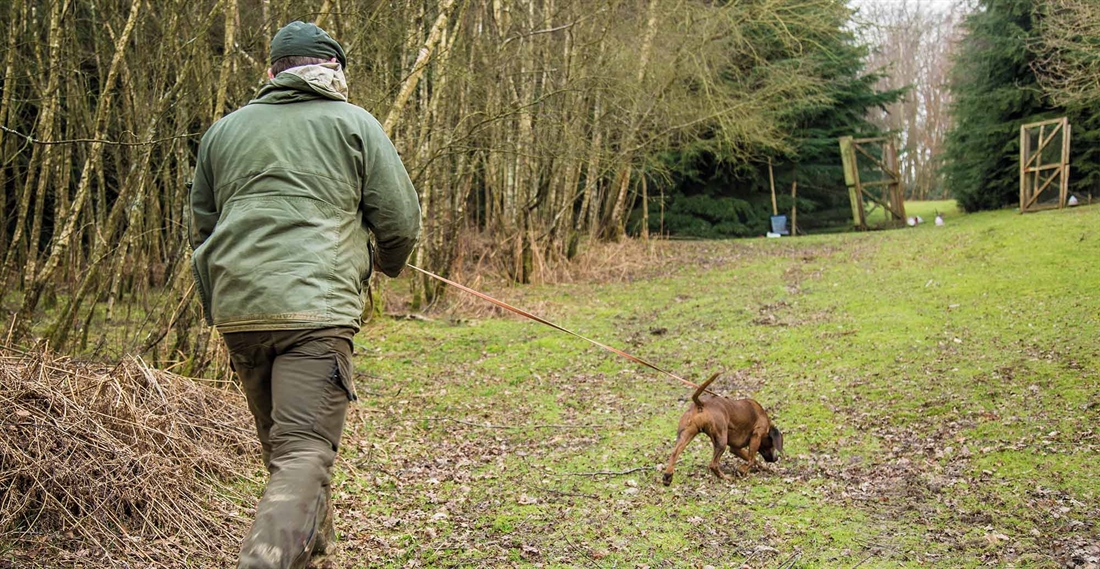 Gundog training: dogs that track deer