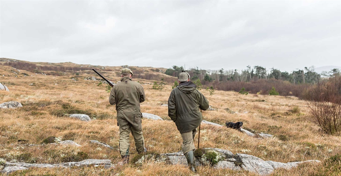 Training beating line and walked-up sport gundogs