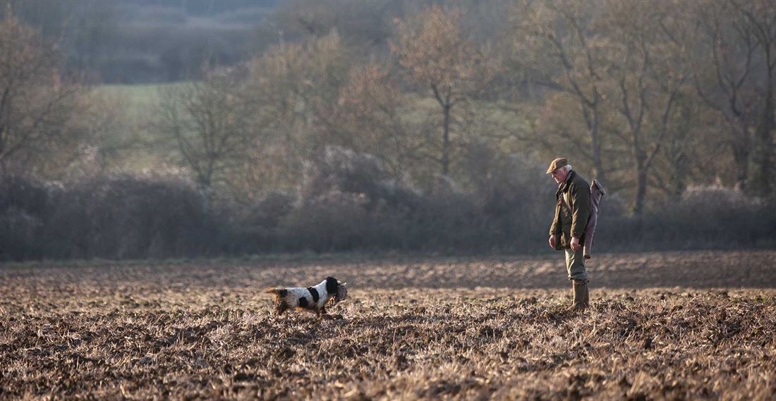 Is it even shooting without a dog?