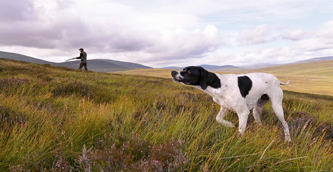 Style and substance on the moor