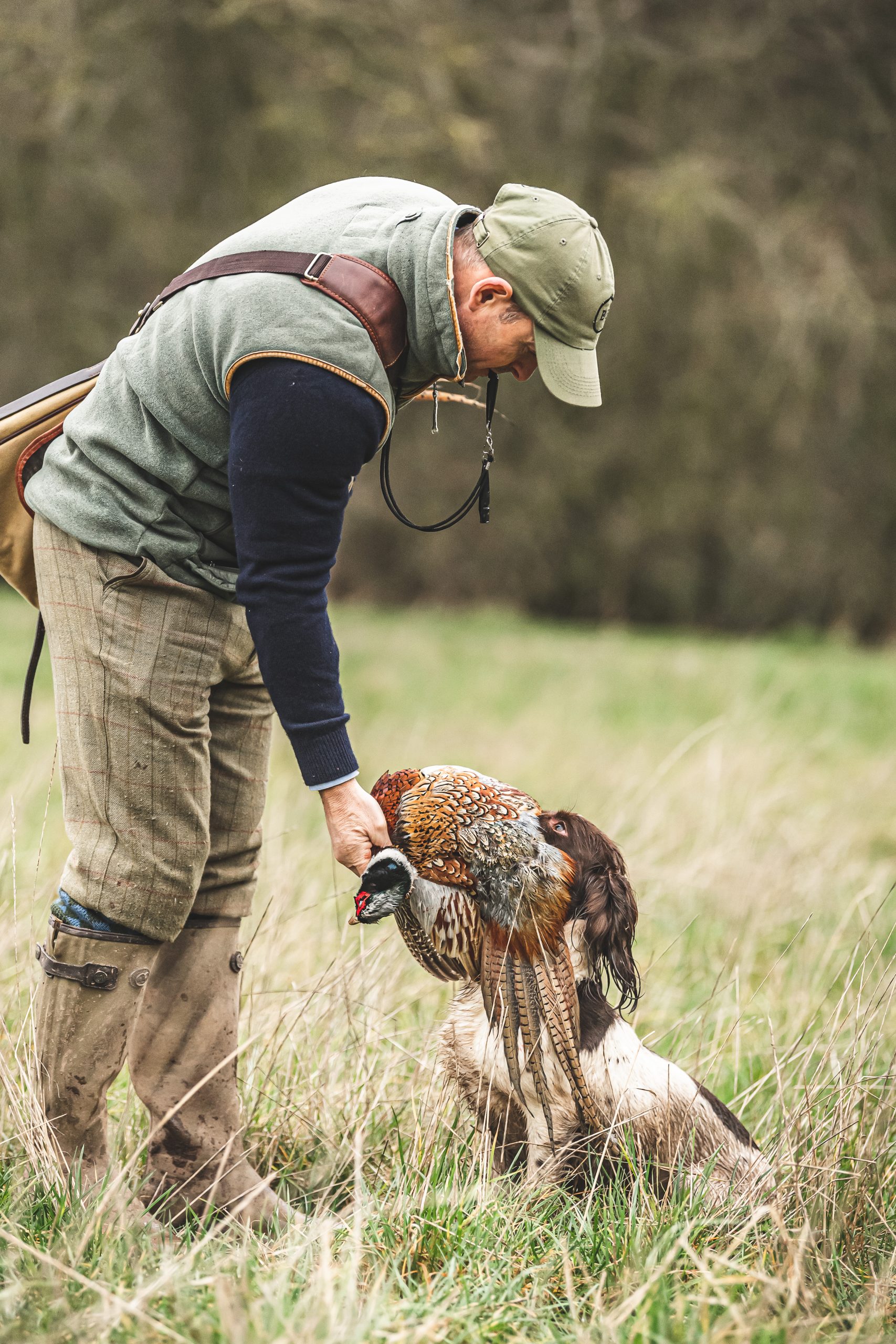 A spaniel droping a bird into the hand of its handler.