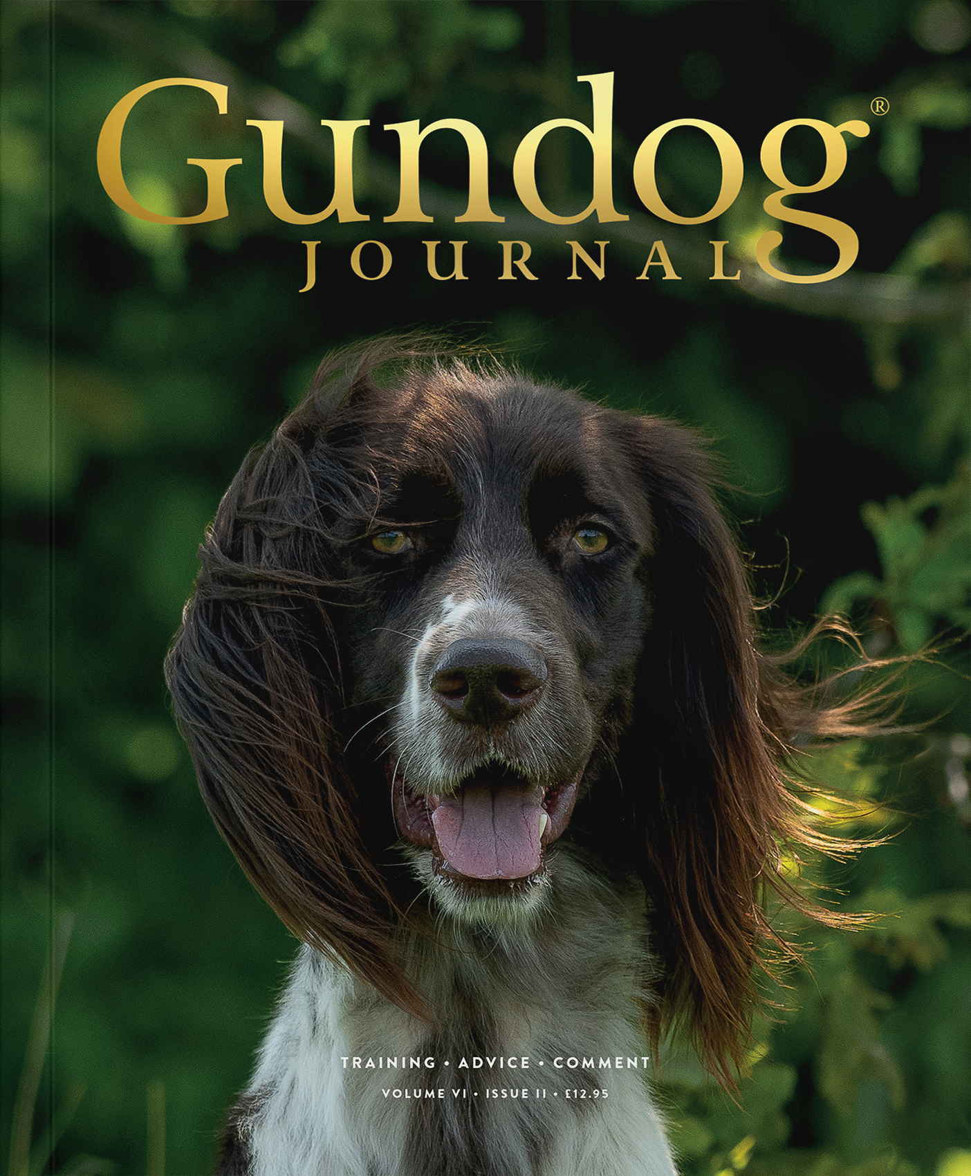 Subscribe to Gundog Journal