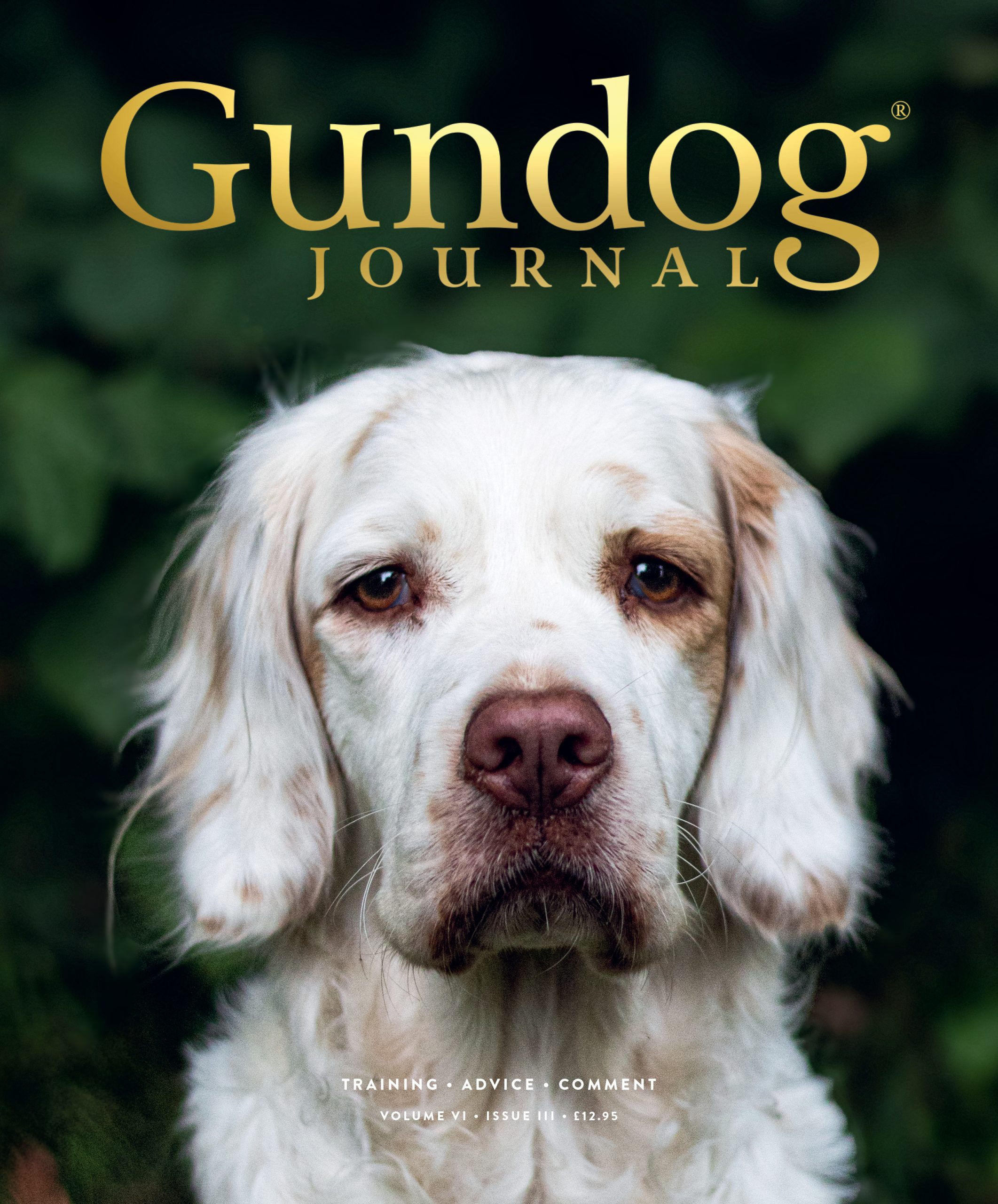 Subscribe to Gundog Journal