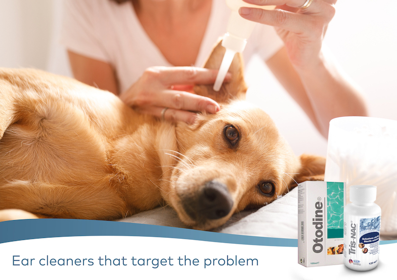 Nextmune ear cleaner for dogs