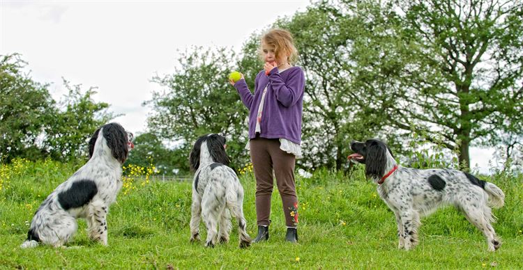 children training dogs