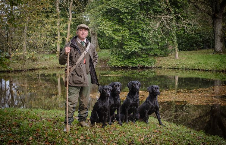 Black labrador picking-up team