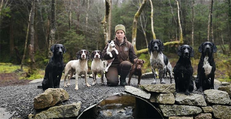 emma stevens gundog training