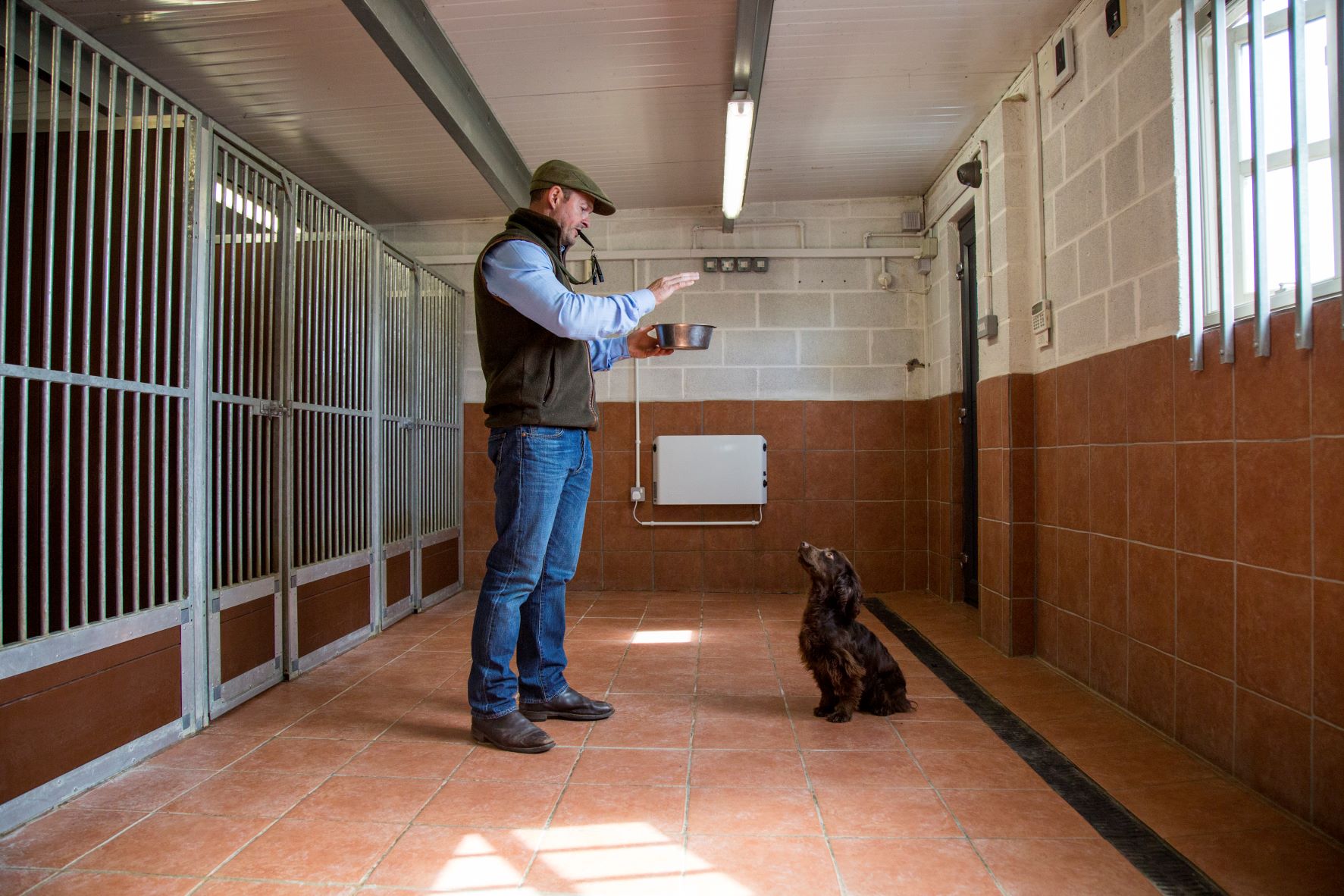 Man training a brown spaniel