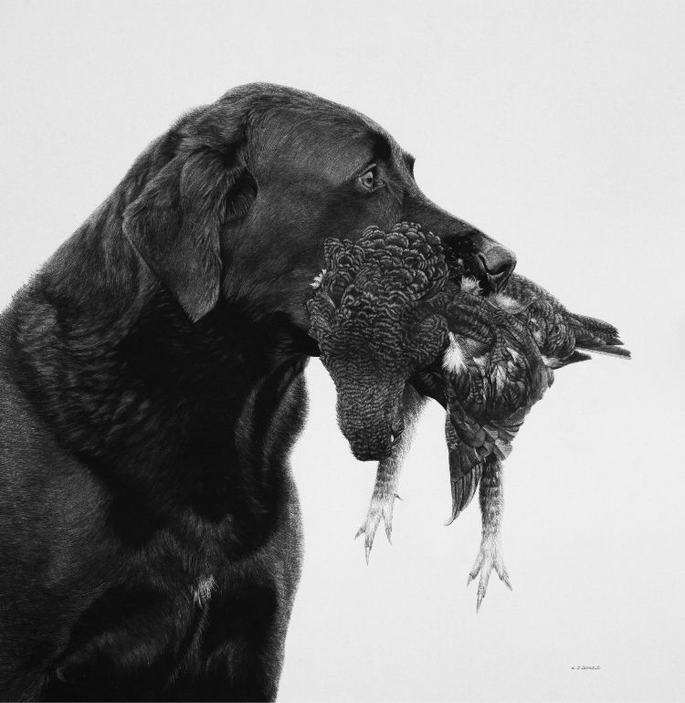 labrador with gamebird 