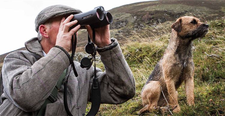 working terriers