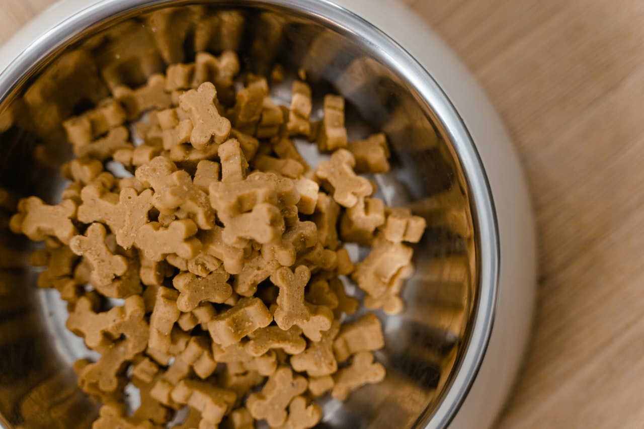 bowl fool of dog biscuits that look like bones