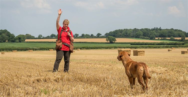 gundog hand signals