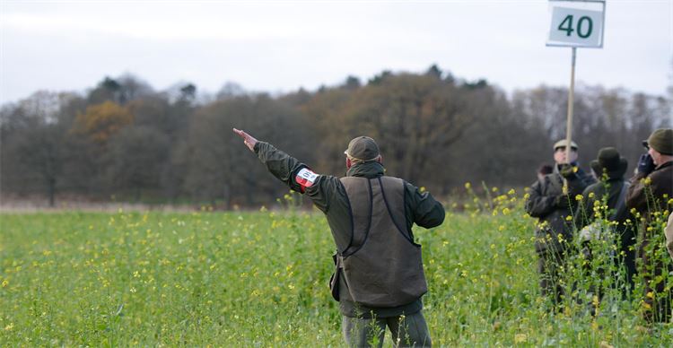 Man during field trial