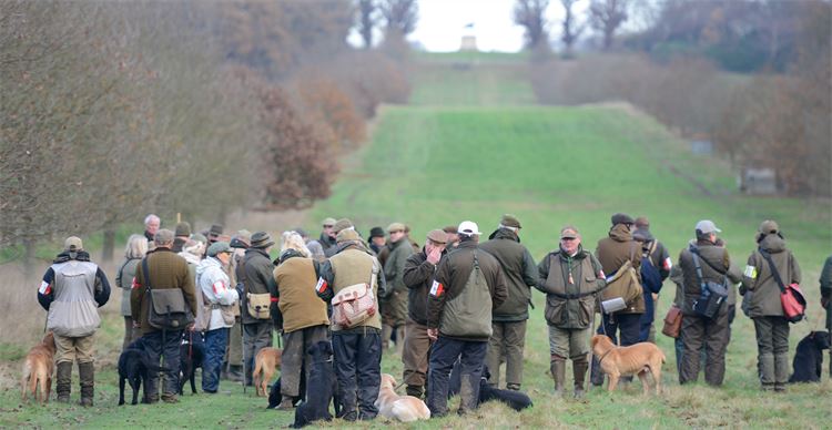 Contestants at the field trial