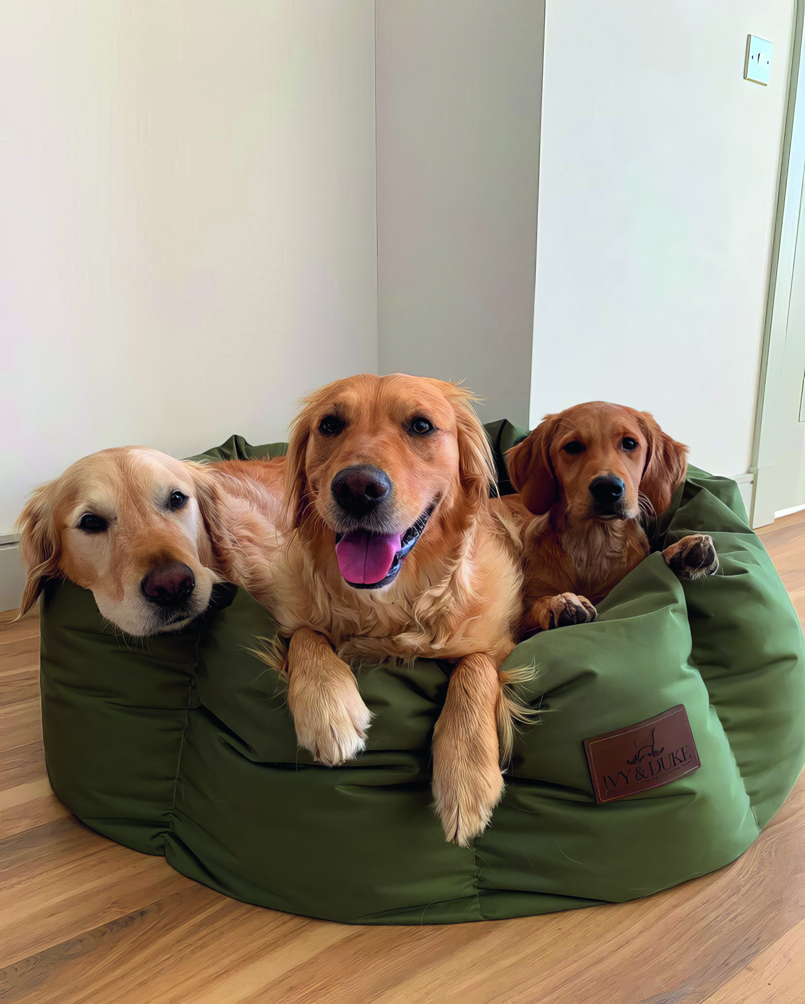 Six of the best dog beds