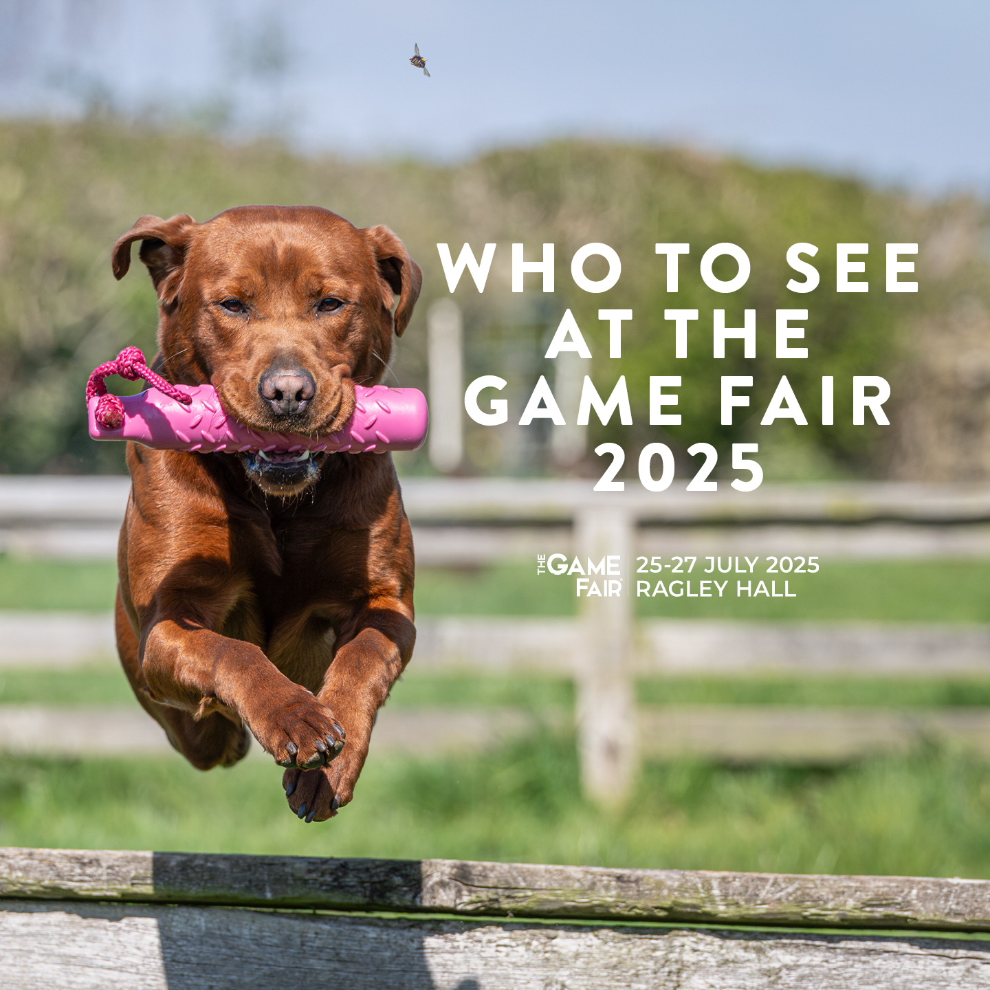 The Game Fair 2025