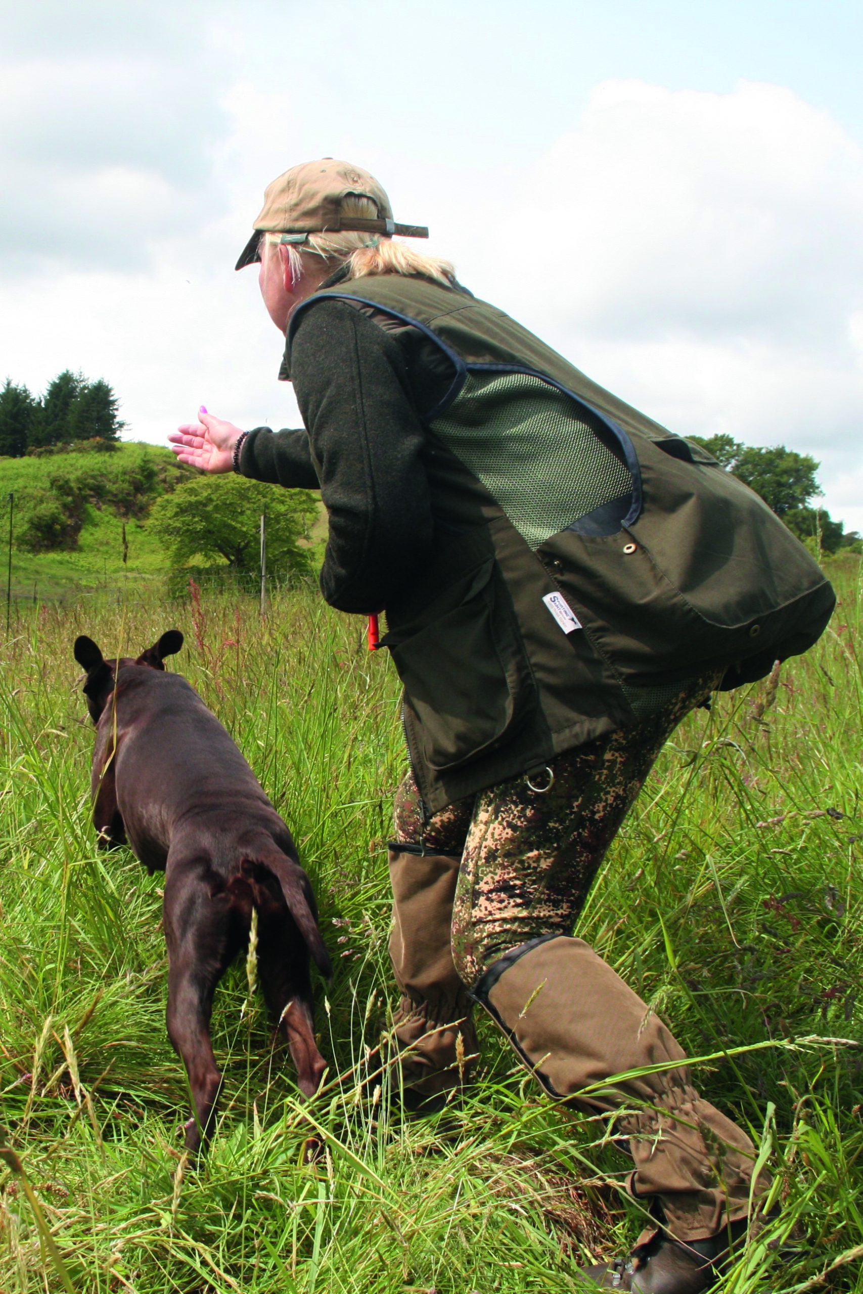 Five of the best gundog snacks