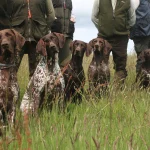 Scottish HPR Team Prepares for HPR Home Internationals at The Game Fair