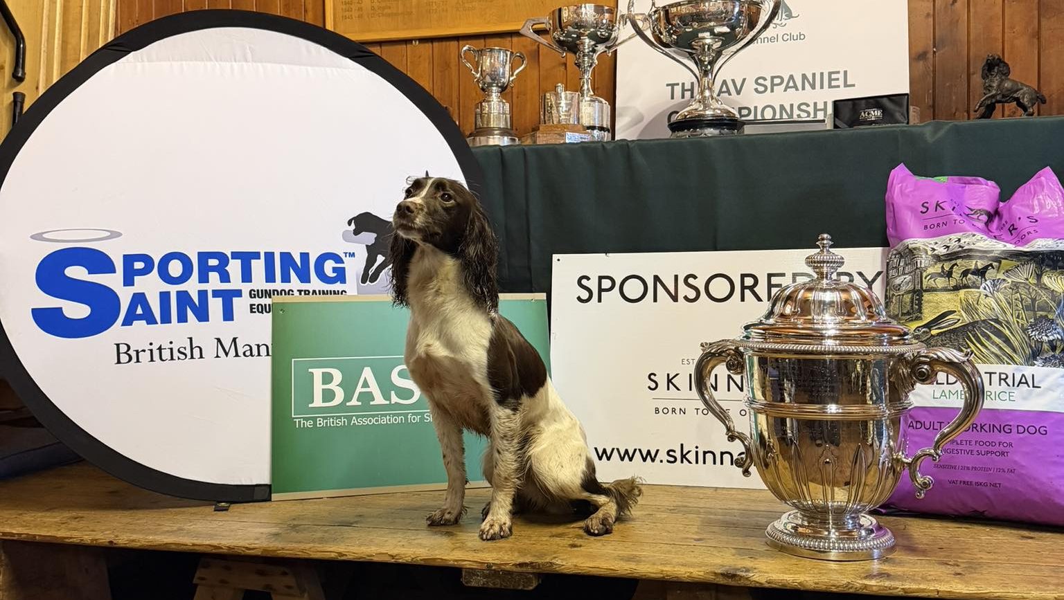 Simon Dixon wins AV Spaniel Championship with Dawsonlee Pepsi