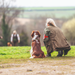 Training for working tests