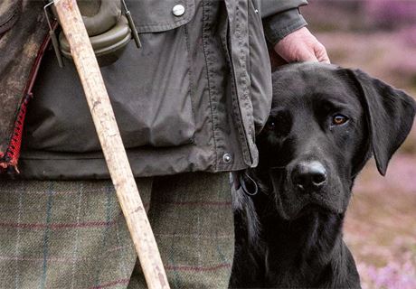 Building a hot sale grouse dog