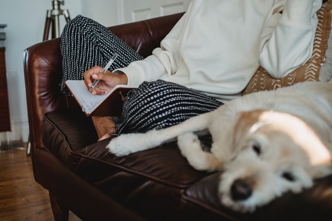 Lazy dog resting on sofa near female owner taking notes
