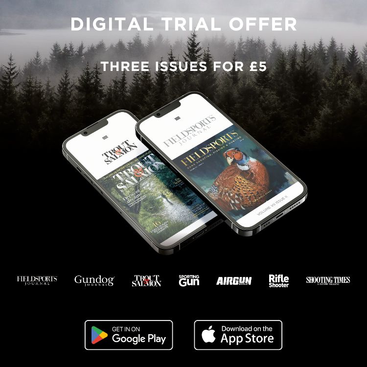 Digital trial offer