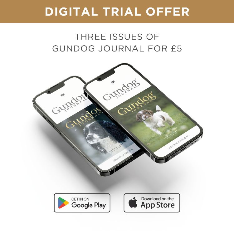 Gundog Journal Digital Trial offer