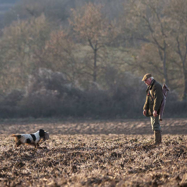 Gundog Journal | Home